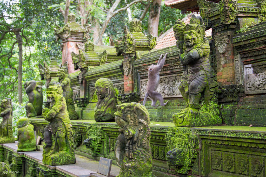 ubud monkey forest